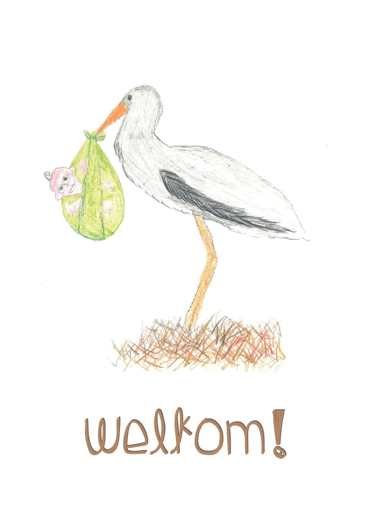 Wenskaart Ooievaar Mats
